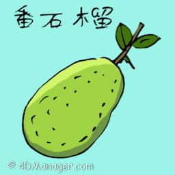 番石榴 guava