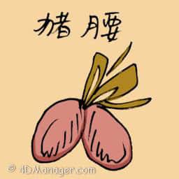 猪腰 pork kidney