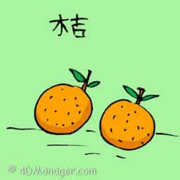 桔 tangerine