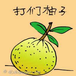 打们柚子 pomelo