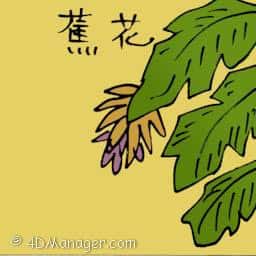 蕉花 banana flower