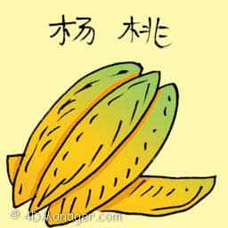 杨桃 star fruit