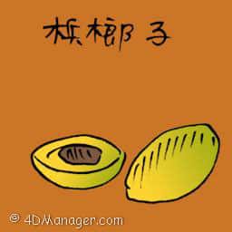 槟榔子 areca nut
