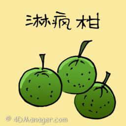 麻疯柑 chinese lime