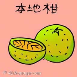 本地柑 local lime
