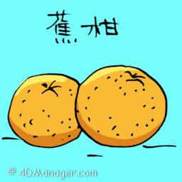 蕉柑 mandarin orange