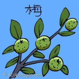 梅 plum flower