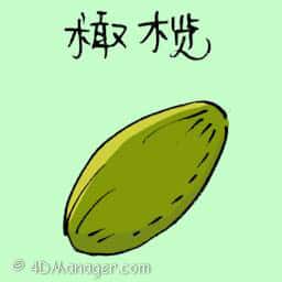 橄榄 olive