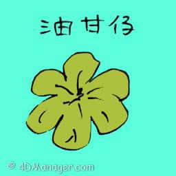 油甘仔 indian gooseberry
