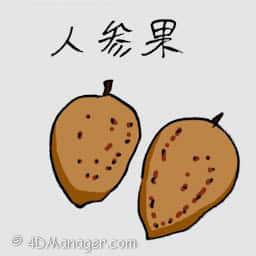 人参果 chiku fruit