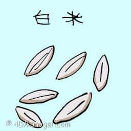 白米 white rice