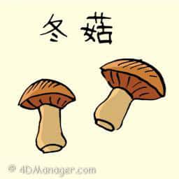 冬菇 dried mushroom
