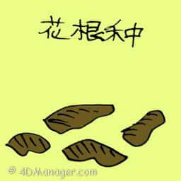 花根种 plant seed