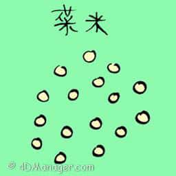 菜米 vegetable seeds