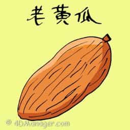 老黄瓜 yellow cucumber