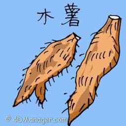 木薯 tapioca