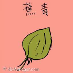 芜菁 green banana