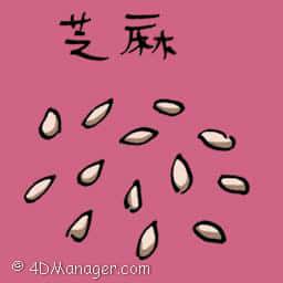 芝麻 sesame