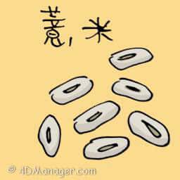 薏米 barley