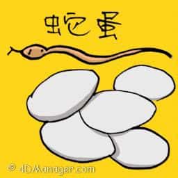 蛇蛋 snake egg