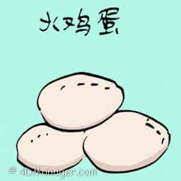 火鸡蛋 turkey egg