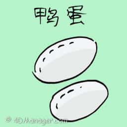 鸭蛋 duck egg
