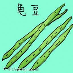 龟豆 long beans