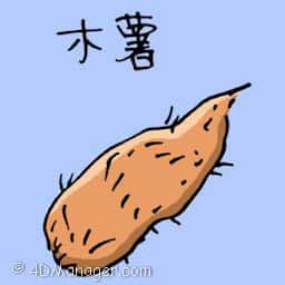 木薯 cassava
