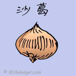 沙葛 brown turnip