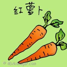 红罗卜 carrot
