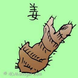 姜 ginger