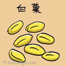 白果 gingko nut