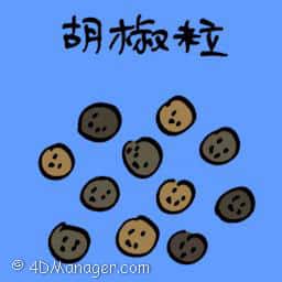 胡椒粒 pepper