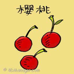 樱桃 cherry