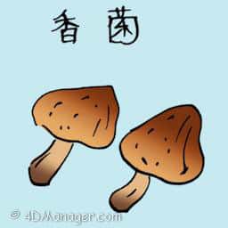 香菌 brown mushroom