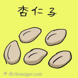 杏仁子 almond seed