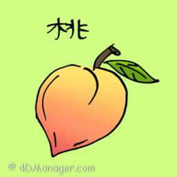 桃 peach