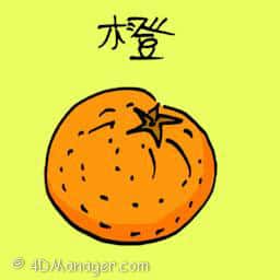 橙 orange