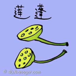 莲蓬 lotus seedpod