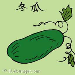 冬瓜 winter melon