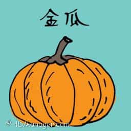 金瓜 giant pumpkin