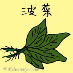 菠菜 spinach
