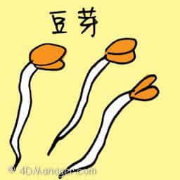 豆芽 bean sprouts