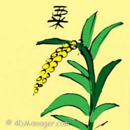 粟 millet