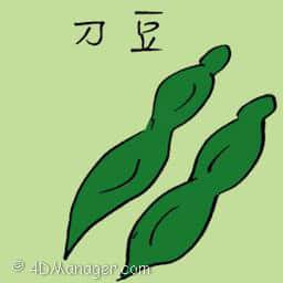 刀豆 sword bean