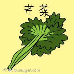 芹菜 celery
