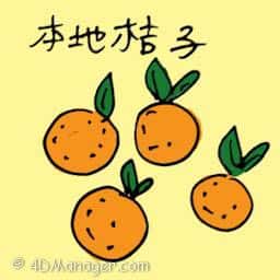 本地桔子 local mandarin orange