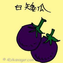 白矮瓜 white eggplant