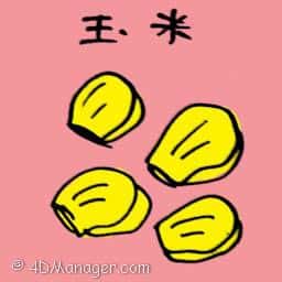 玉米 corn
