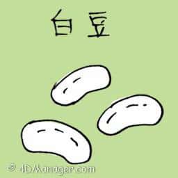 白豆 white bean